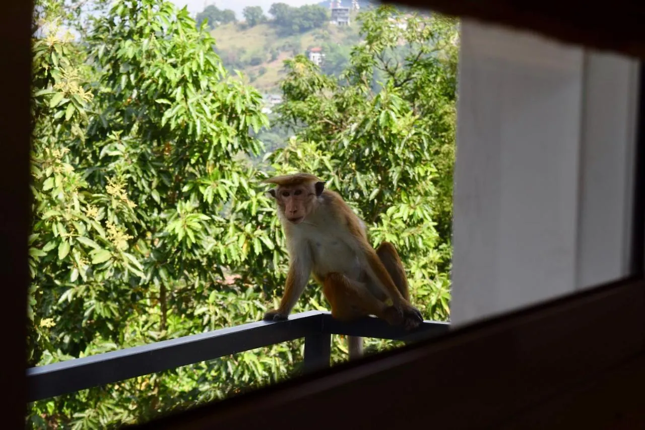 La Colina Kandy Panzió